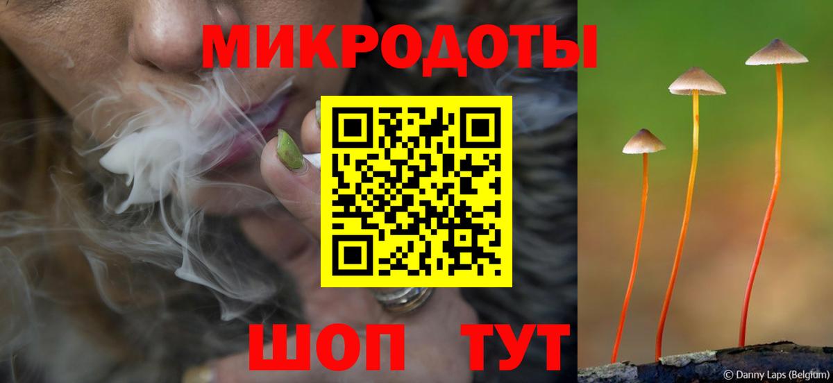 закладки  Псилоцибиновые грибы Magic Shrooms  Ишим  Вход с VPN  Псилоцибиновые грибы мухоморы 